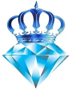 Partner logo 4