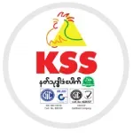 Partner logo 6