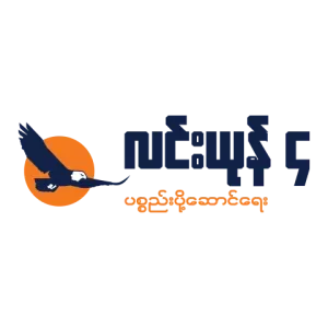 Partner logo 8