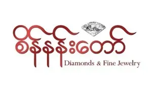 Partner logo 10